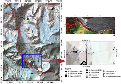 Bacterial diversity and biopotentials of Hamtah glacier cryoconites, Himalaya